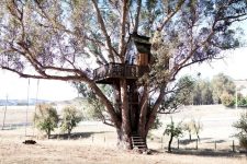 cozy vibe travel treehouses