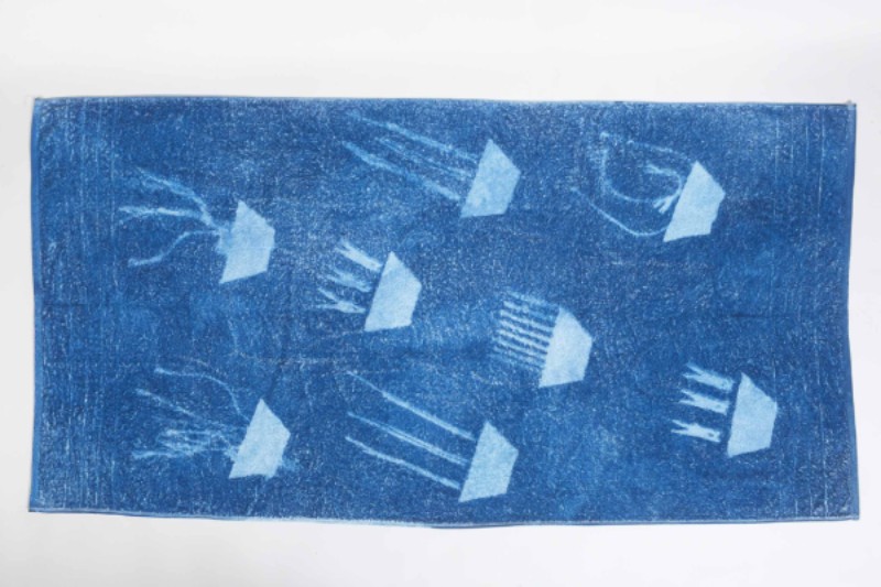 Cyanotype cocomat towel from Scraptypes series stef tsakiris