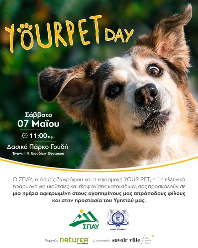 your pet day