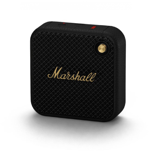 marshall waterproof speaker