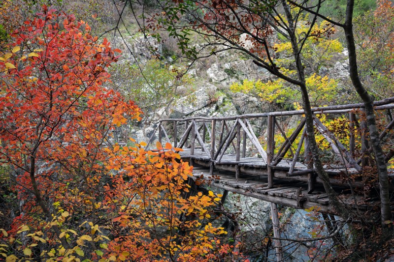 Γουμένισσα