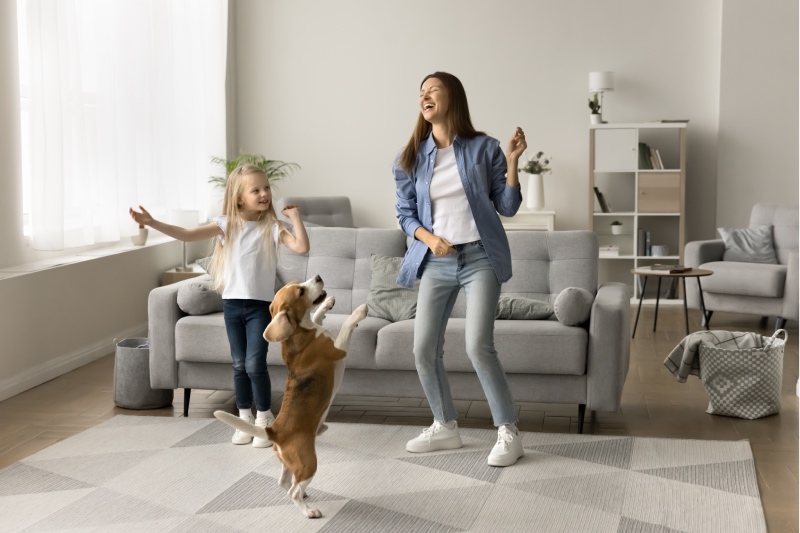 δραστηριότητες