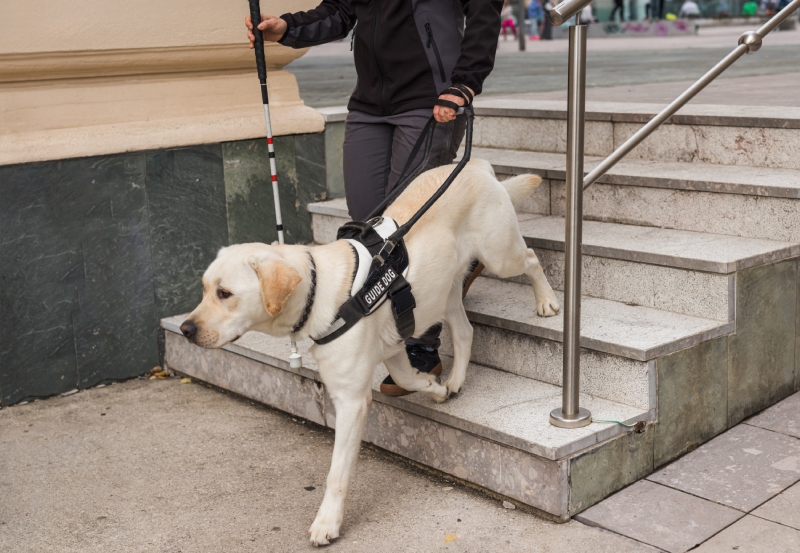 Μπαστουνιού