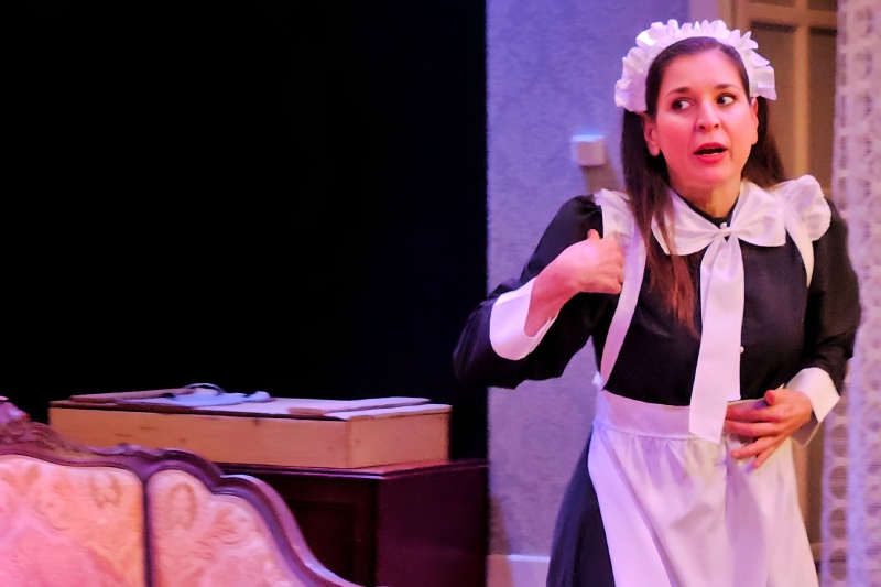 «Ο Επιθεωρητής Ντρέικ και η Μαύρη Χήρα»