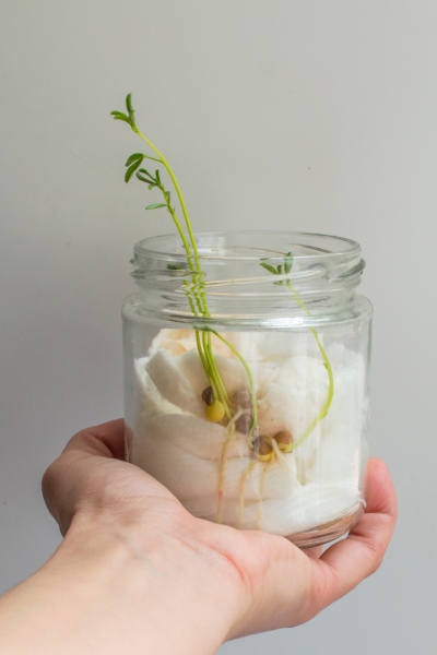 δραστηριότητες