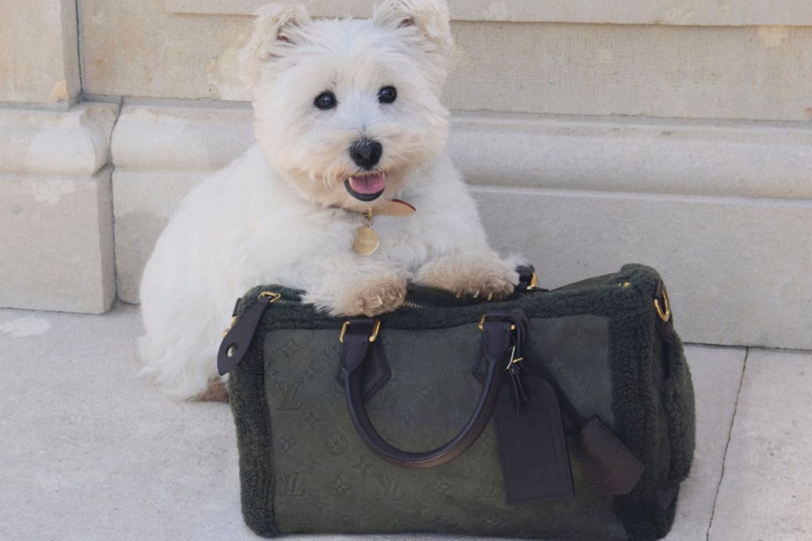 cozy_vibe_louis_vuitton_a