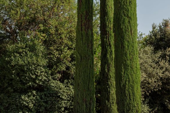 cozyvibe_Dantone_Home_out