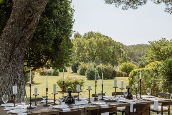 cozyvibe_Dantone_Home_table_dishes