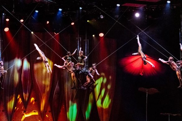 Cozyvibe_CirqueduSoleil_p