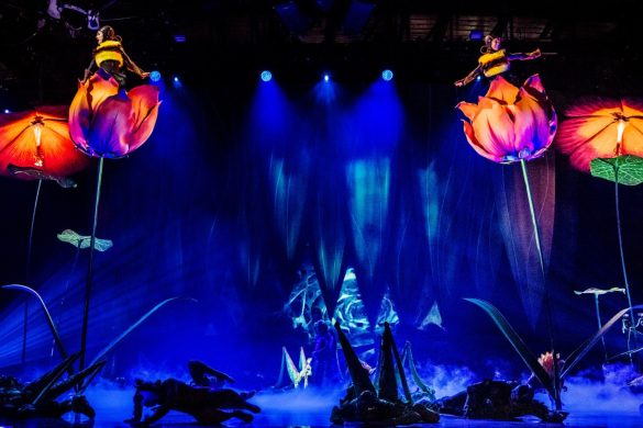 Cozyvibe_CirqueduSoleil_v Cirque