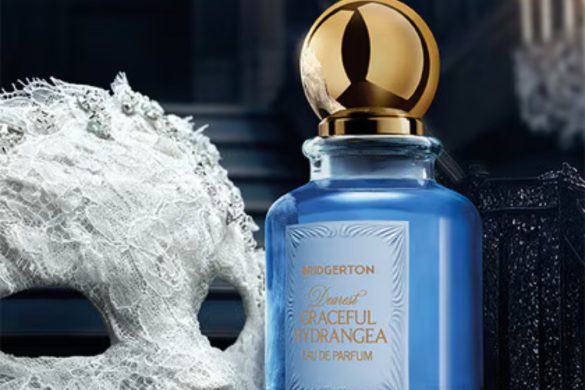 cozy_vibe_bridgerton_graceful