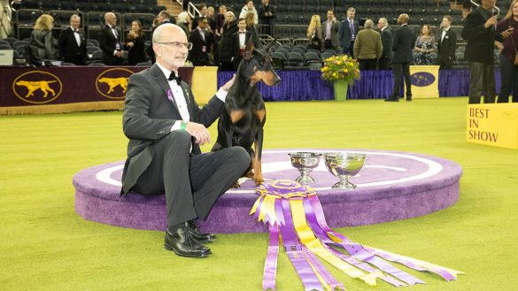 Westminster Dog Show