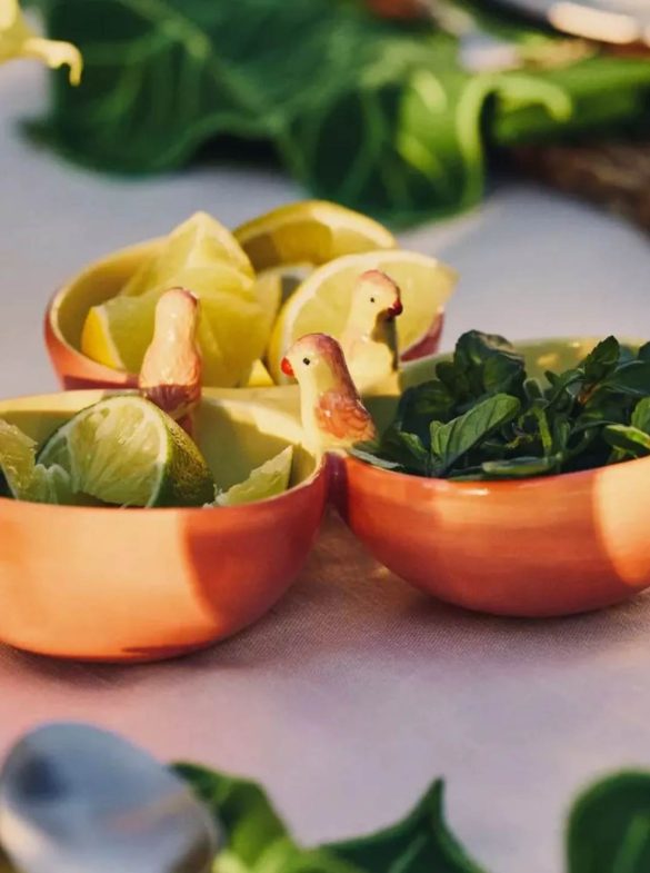 cozy_vibe_farm_rio_m