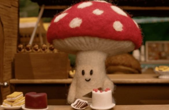 cozy_vibe_kalamata_n