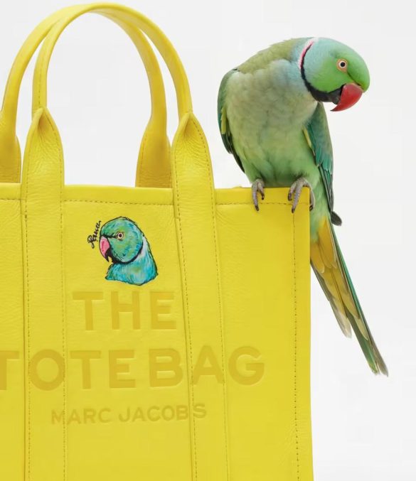 cozy_vibe_marc_jacobs_y Marc Jacobs