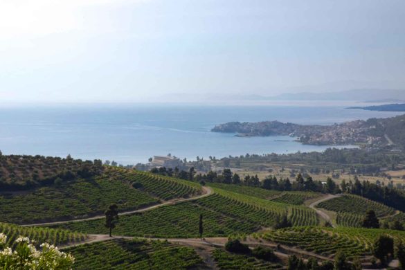 cozy_vibe_porto_carras_c