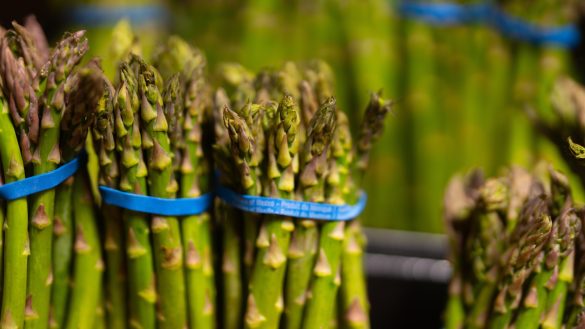 cozyvibe_aspragus_green