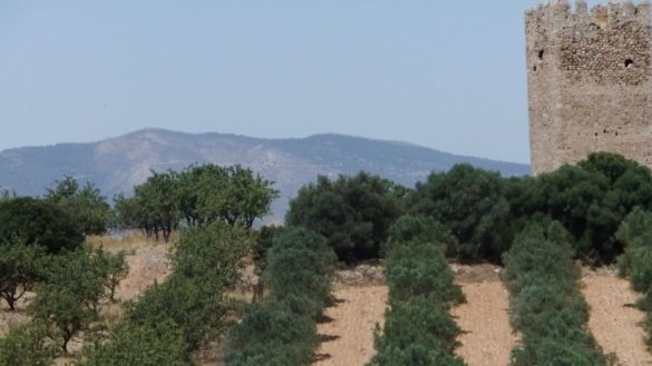 Μεσογαίας