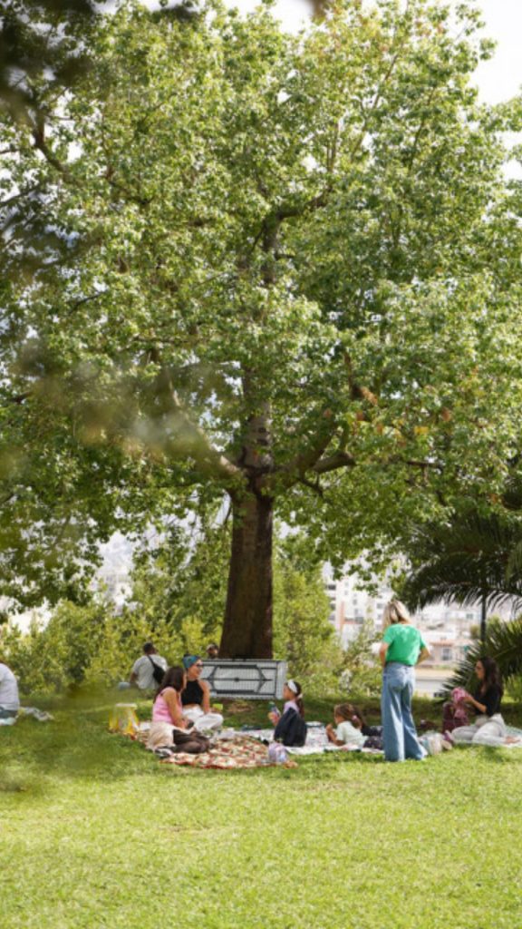Summer Camp