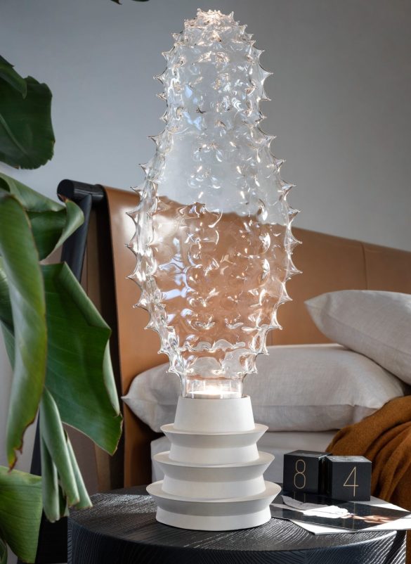 cozy_vibe_cactus_k
