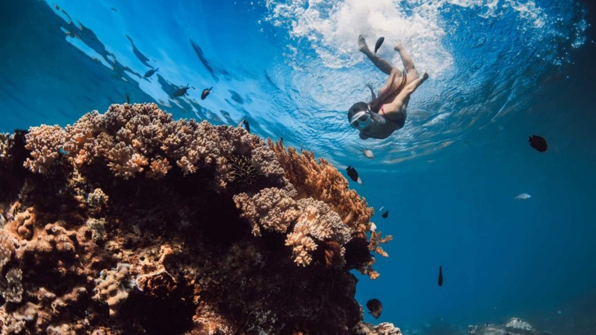 snorkeling στην ελλάδα