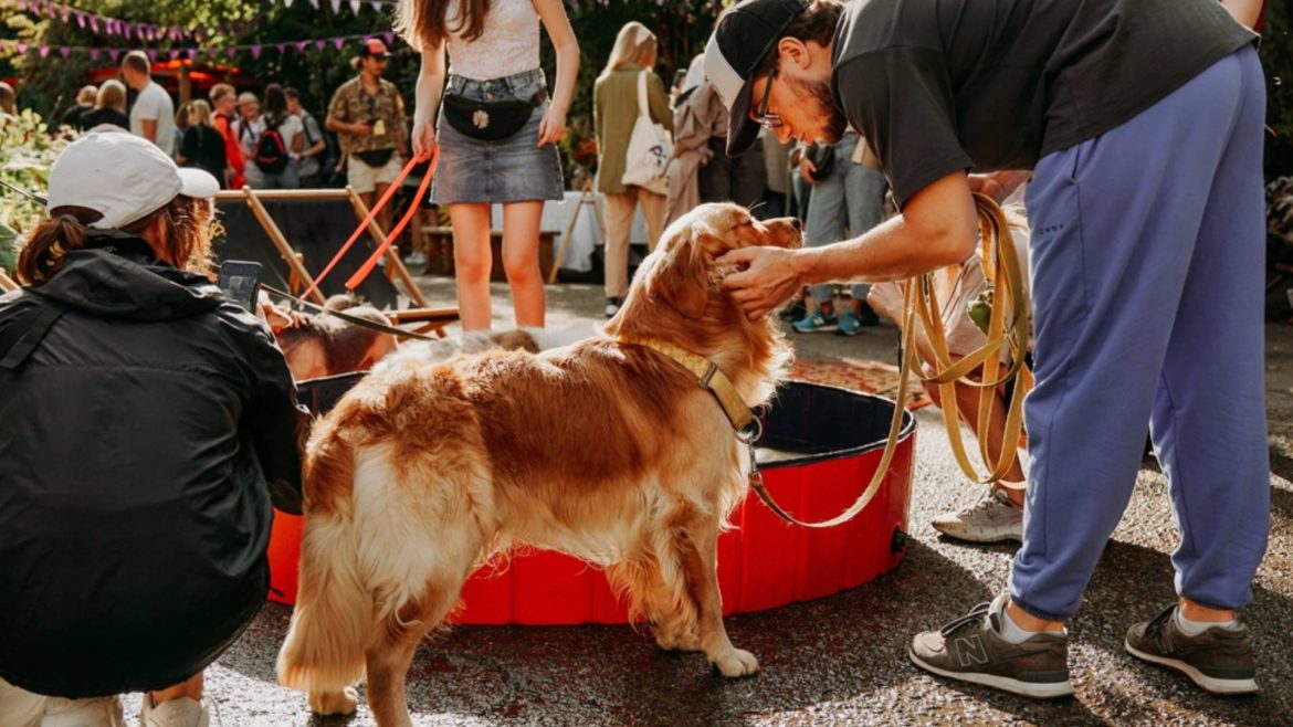Dog Festival 2026